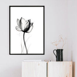 Póster Hermosa imagen de tulipán de rayos X