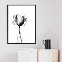 Hermosa imagen de tulipán de rayos X