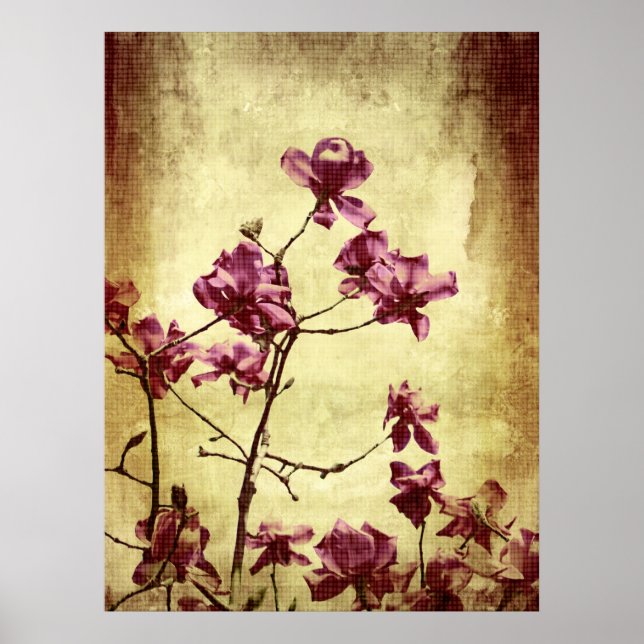 Póster Hermosa magnolia sobre fondo de fondo (Frente)
