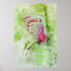 Póster hermosa mariposa blanca sobre una pintura de tallo