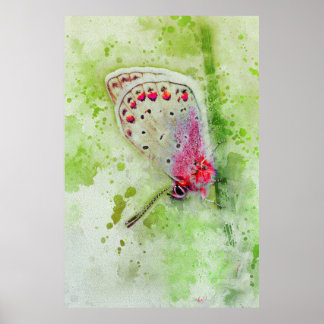 Póster hermosa mariposa blanca sobre una pintura de tallo