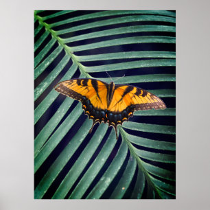 Póster Hermosa Mariposa En Una Hoja