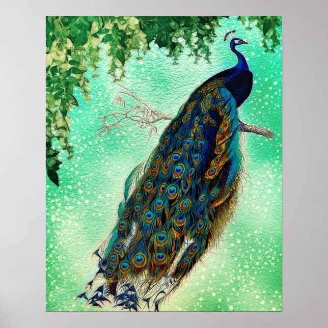 Póster Hermosa naturaleza de pavo real azul Bird Tail Vin (Frente)