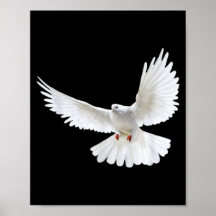 Póster Hermosa Paloma Blanca Pacífica Volando Foto Siluet