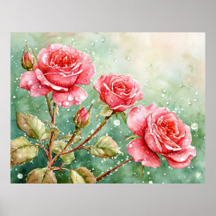 Póster Hermosa pintura en acuarela de rosas rojas
