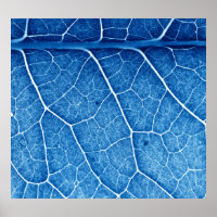 Hermosa planta Closeup Textura Fondo