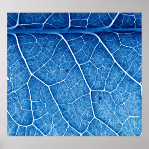 Póster Hermosa planta Closeup Textura Fondo