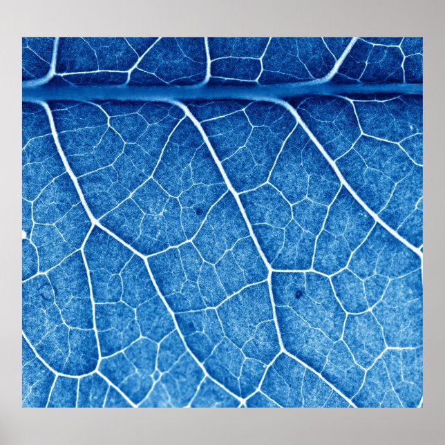 Póster Hermosa planta Closeup Textura Fondo (Frente)