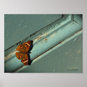 Póster Hermosa Poster de la mariposa dorada