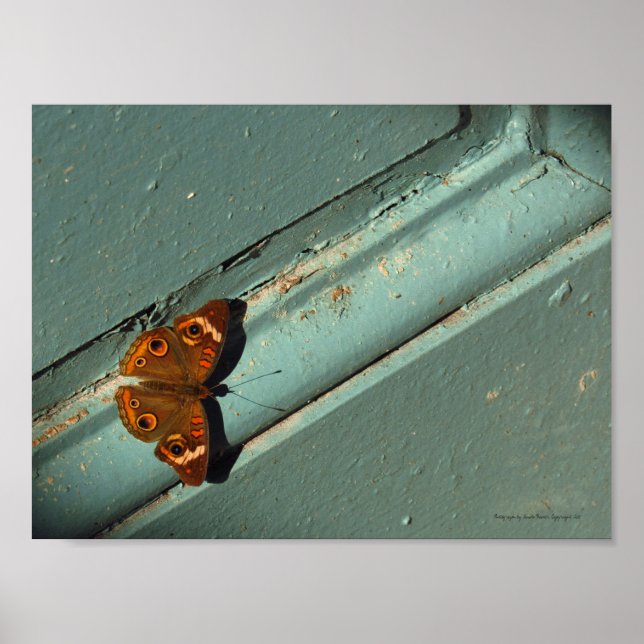 Póster Hermosa Poster de la mariposa dorada (Frente)