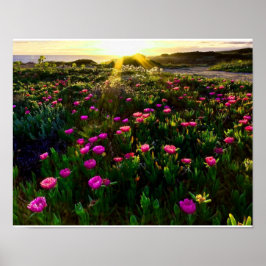 Póster Hermosa poster de puesta de sol de flores silvestr