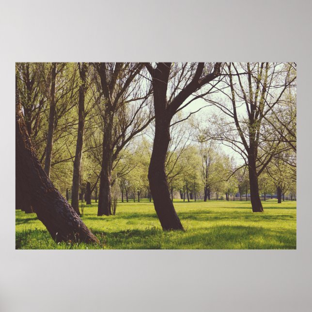 Póster Hermosa pradera (Frente)