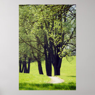 Póster Hermosa pradera