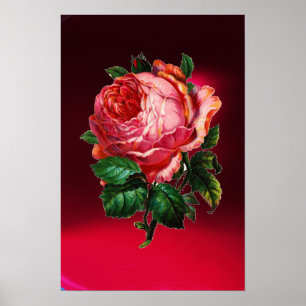 PÓSTER HERMOSA ROSA ROSA DE ROSA DE ROSA