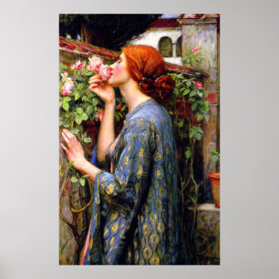 Póster Hermosa Señora Vintage Y Flor Rosa Rosa Rosa Rosa