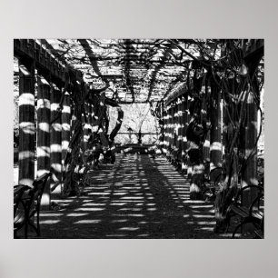 Póster Hermosa vista de Central Park, NYC