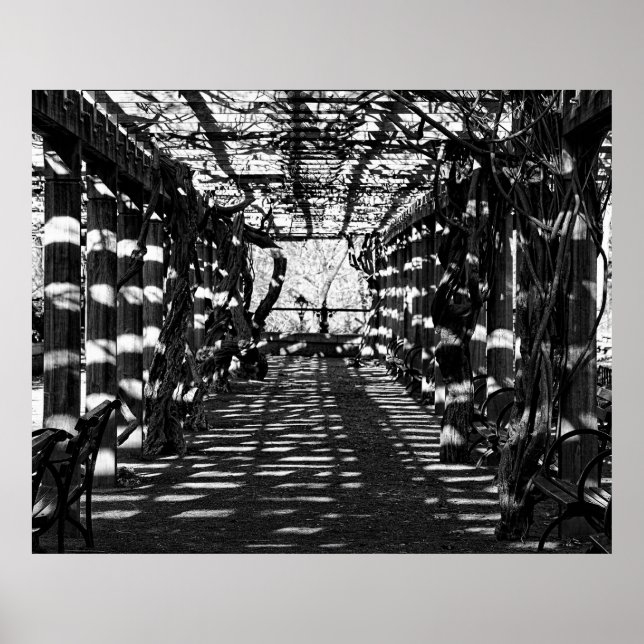 Póster Hermosa vista de Central Park, NYC (Frente)