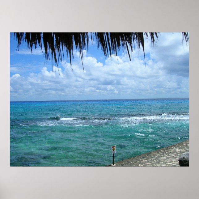 Póster Hermosa vista Oceánica (Frente)