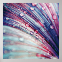 Hermosa Y Elegante Abstracto Flor Azul Rosa