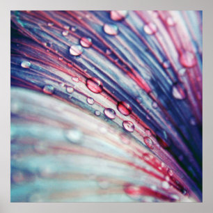 Póster Hermosa Y Elegante Abstracto Flor Azul Rosa