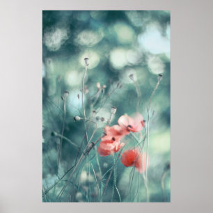 Póster Hermosa y elegante resumen Dreamy Poppies Flores