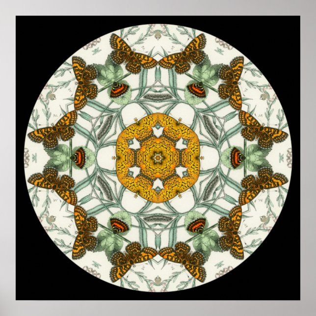 Póster Hermosas alas de mariposa mandala poster (Frente)