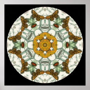 Póster Hermosas alas mariposas mandala poster