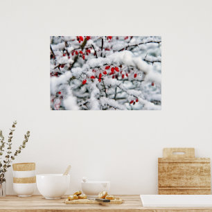 Póster Hermosas bayas rojas y nieve