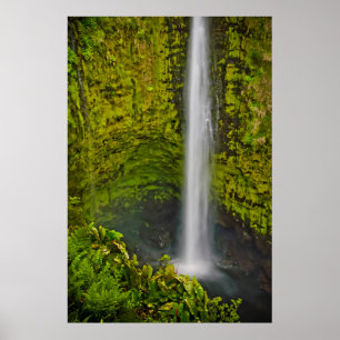 Póster Hermosas cascadas y saltos de agua abundan