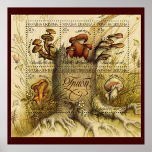 Póster Hermosas estampillas de hongos ~ Toadstool Ukraine