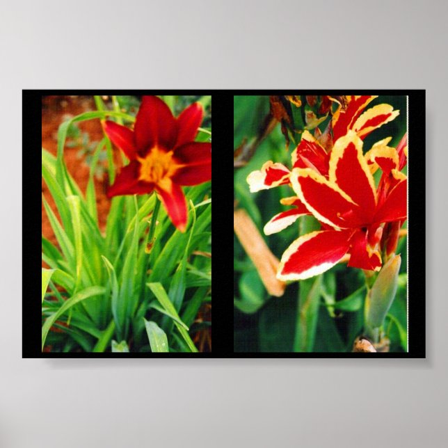 Póster Hermosas flores (Frente)