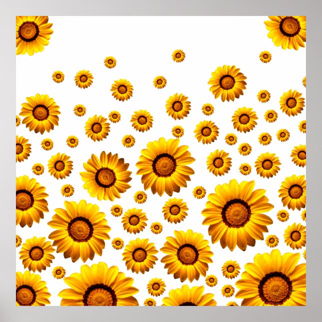 Póster Hermosas flores amarillas (Frente)