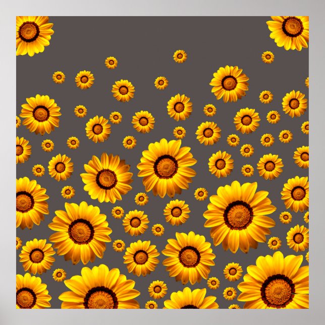 Póster Hermosas flores amarillas sobre fondo gris (Frente)