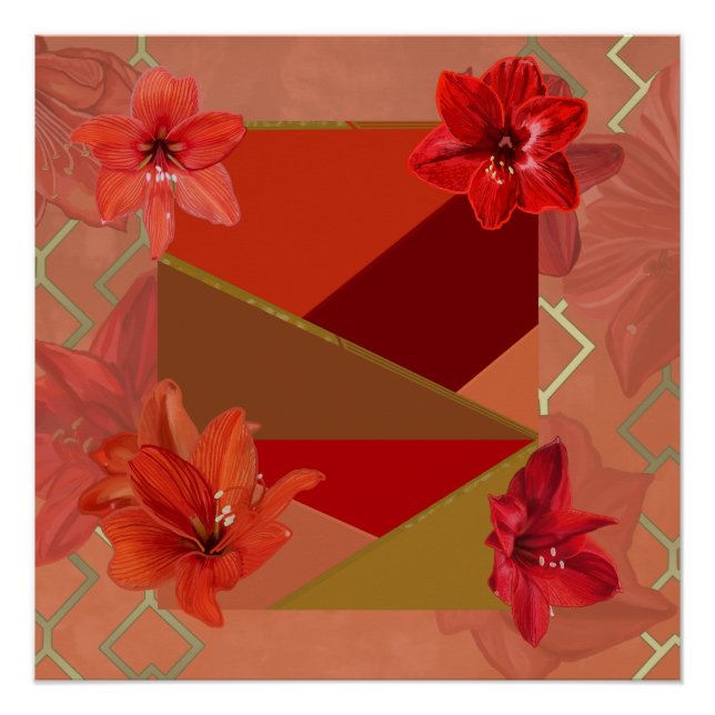 Póster Hermosas flores de Amaryllis (Anverso)