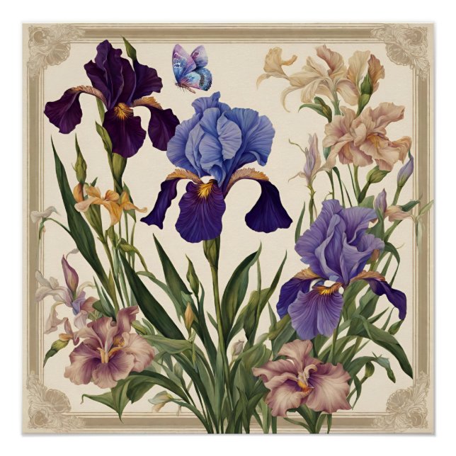 Póster Hermosas flores de Iris (Anverso)