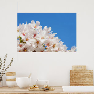 Póster Hermosas flores de primavera