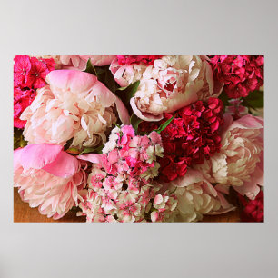 Póster Hermosas flores de verano. Bouquet de peones rosad