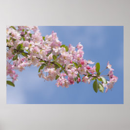 Póster Hermosas flores rosadas en el huerto