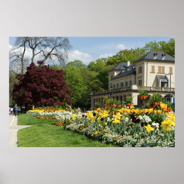 Póster Hermosas Flores Y Casa (Frente)