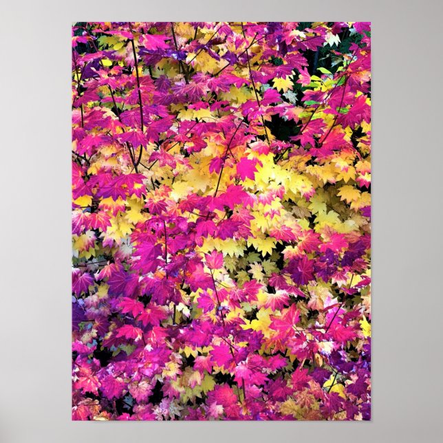Póster Hermosas hojas de otoño (Frente)