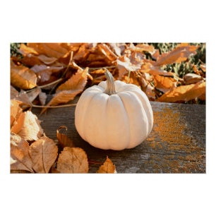 Póster Hermosas hojas otoñales de calabaza blanca