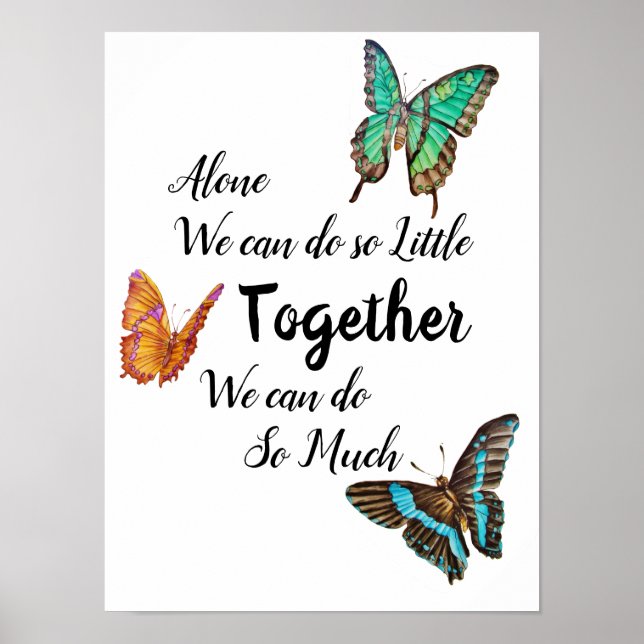 Póster Hermosas mariposas de colores (Frente)