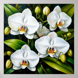 Póster hermosas orquídeas blancas