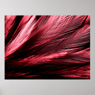 Póster Hermosas plumas rojas abstractas sobre fondo oscur