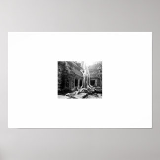 Póster Hermosas raíces - Angkor Wats - Camboya