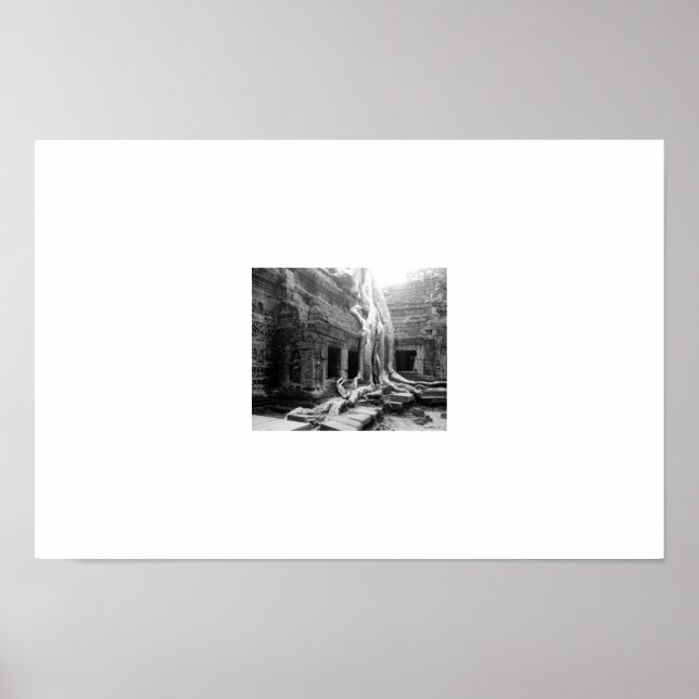 Póster Hermosas raíces - Angkor Wats - Camboya (Frente)