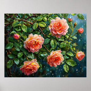 Póster Hermosas Rosas Melocotón en un Día Lluvioso