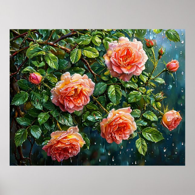 Póster Hermosas Rosas Melocotón en un Día Lluvioso (Frente)