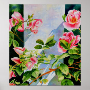 Póster Hermosas rosas rojas rojas blancas color agua flor