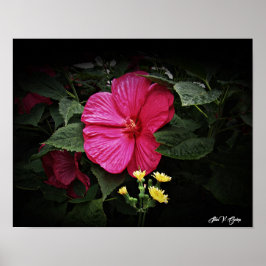 Póster Hermosas vistas Hibiscus Floral Wall Art GPsg